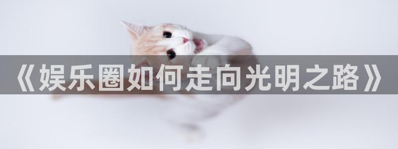 豪门国际酒店：《娱乐圈如何走向光明之路》