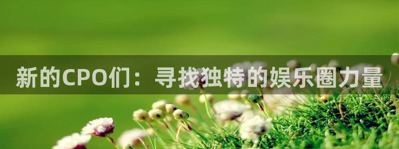 豪门国际86687：新的CPO们：寻找独特的娱乐圈力量