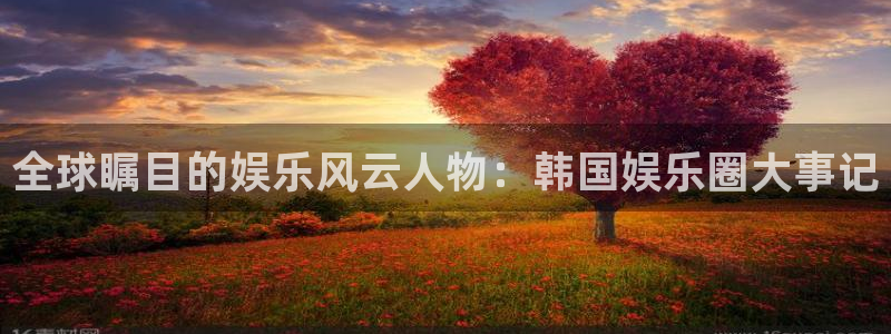 豪门国际怎么玩：全球瞩目的娱乐风云人物：韩国娱乐圈大事记