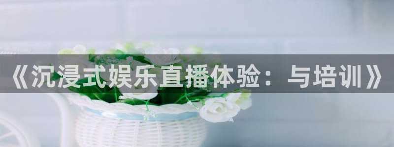 豪门国际俱乐部：《沉浸式娱乐直播体验：与培训》