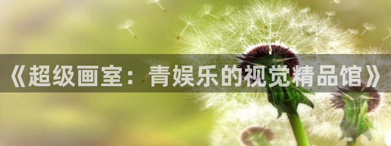 萍乡豪门国际大酒店：《超级画室：青娱乐的视觉精品馆》