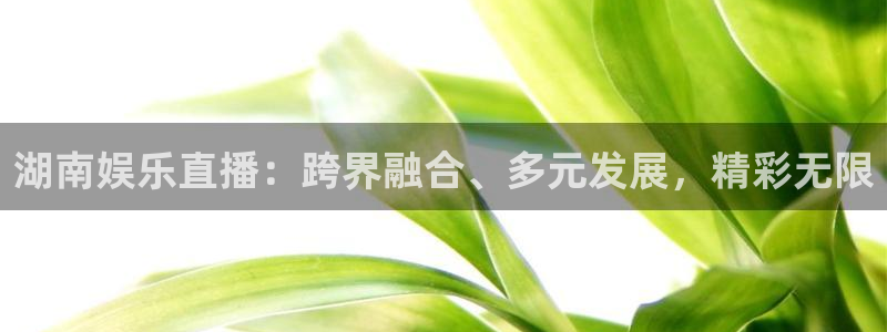 豪门国际ktv：湖南娱乐直播：跨界融合、多元发展，精彩无限