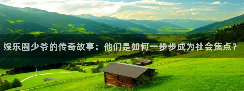 豪门国际：娱乐圈少爷的传奇故事：他们是如何一步步成为社会焦点？